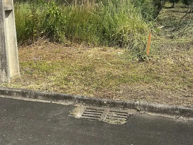Imagem 5: Terreno Exclusivo em Condomínio Fechado em Quatro Barras Próximo de Curitiba