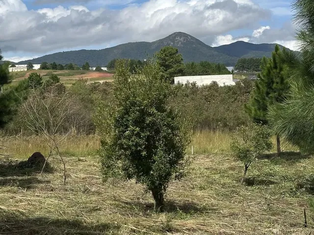 Imagem 14: Terreno Exclusivo em Condomínio Fechado em Quatro Barras Próximo de Curitiba
