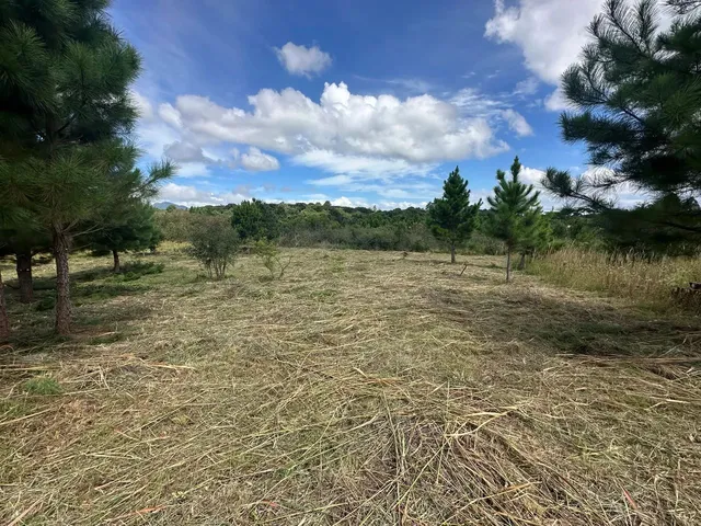 Imagem 6: Terreno Exclusivo em Condomínio Fechado em Quatro Barras Próximo de Curitiba