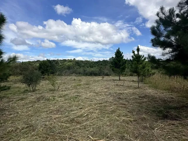 Imagem 13: Terreno Exclusivo em Condomínio Fechado em Quatro Barras Próximo de Curitiba