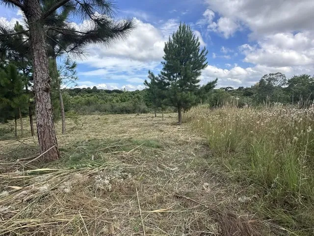 Imagem 10: Terreno Exclusivo em Condomínio Fechado em Quatro Barras Próximo de Curitiba