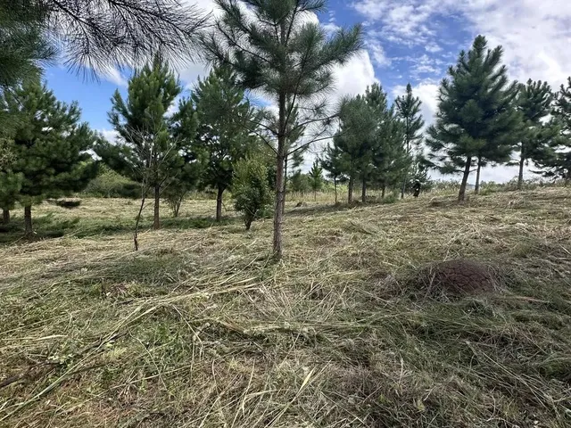 Imagem 7: Terreno Exclusivo em Condomínio Fechado em Quatro Barras Próximo de Curitiba