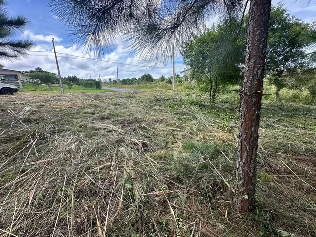 Imagem 11: Terreno Exclusivo em Condomínio Fechado em Quatro Barras Próximo de Curitiba