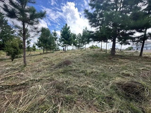 Imagem 12: Terreno Exclusivo em Condomínio Fechado em Quatro Barras Próximo de Curitiba