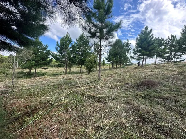 Imagem 8: Terreno Exclusivo em Condomínio Fechado em Quatro Barras Próximo de Curitiba