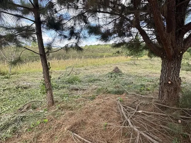 Imagem 2: Terreno Exclusivo em Condomínio Fechado em Quatro Barras Próximo de Curitiba