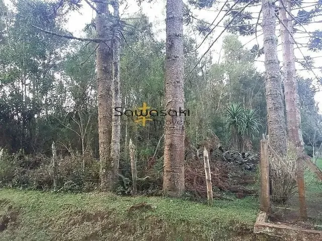 Imagem: Terreno Lote para Venda em Rio de Una São