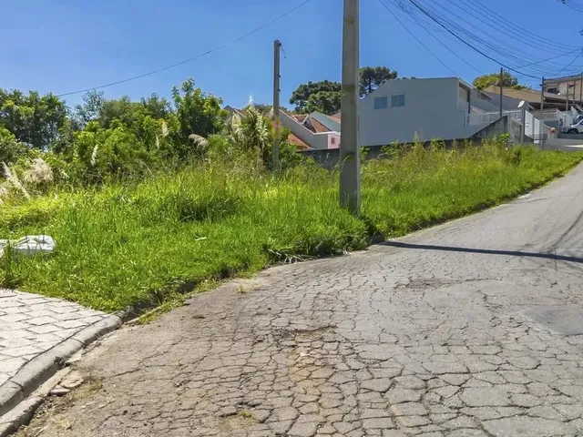 Imagem 7: Terreno 1.127M² Campo Largo