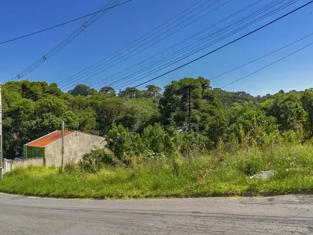 Imagem 6: Terreno 1.127M² Campo Largo