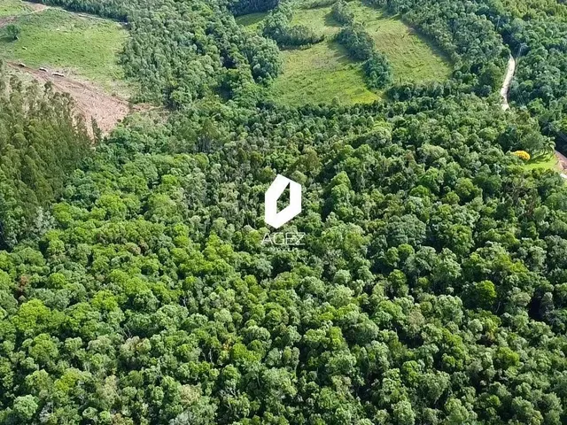 Imagem 2: Terreno Rural com 28.000 M² a 15 Min do Centro de Colombo Oportunidade Única