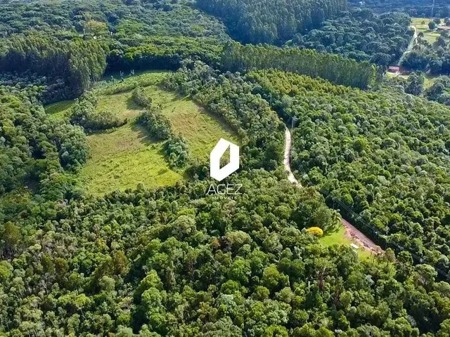 Imagem 4: Terreno Rural com 28.000 M² a 15 Min do Centro de Colombo Oportunidade Única