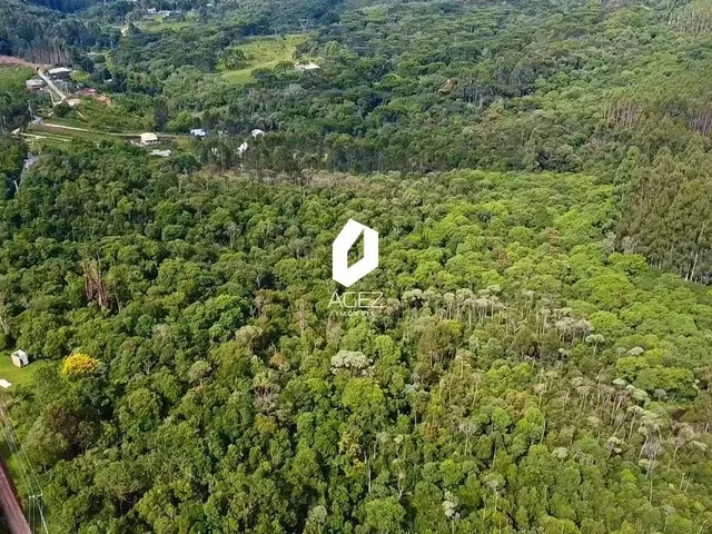 Imagem 6: Terreno Rural com 28.000 M² a 15 Min do Centro de Colombo Oportunidade Única