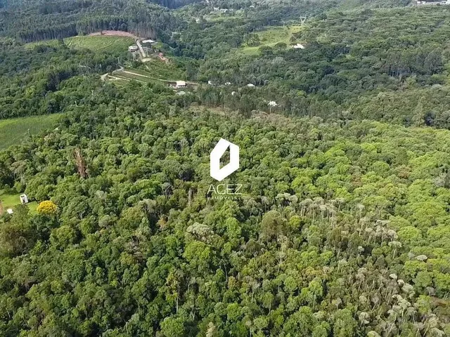 Imagem 3: Terreno Rural com 28.000 M² a 15 Min do Centro de Colombo Oportunidade Única