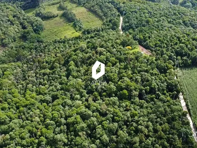 Imagem 8: Terreno Rural com 28.000 M² a 15 Min do Centro de Colombo Oportunidade Única