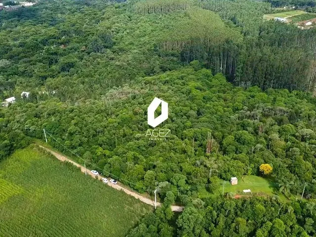 Imagem 5: Terreno Rural com 28.000 M² a 15 Min do Centro de Colombo Oportunidade Única