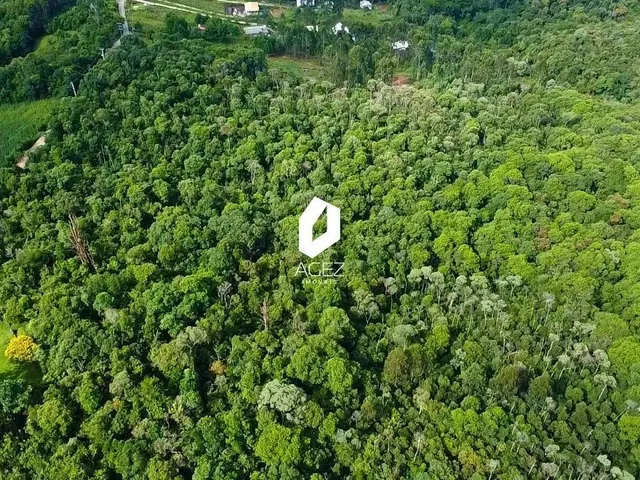 Imagem 7: Terreno Rural com 28.000 M² a 15 Min do Centro de Colombo Oportunidade Única