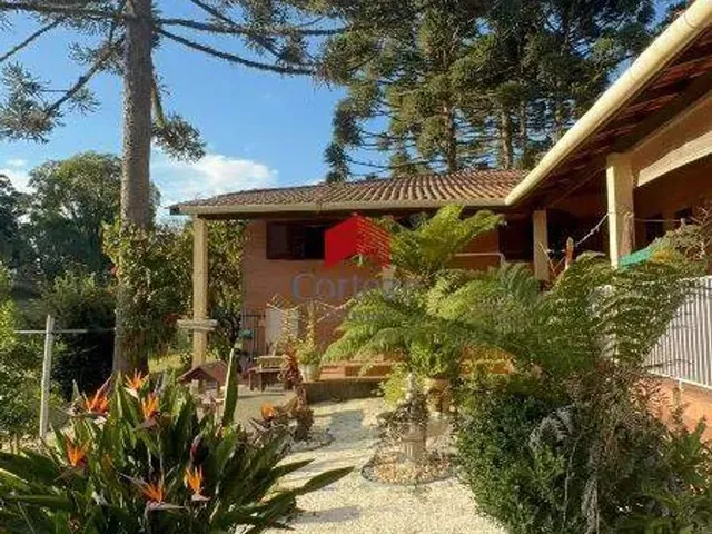 Imagem 8: Chácara com 250M² 5 Quartos, À Venda, no Bairro Área Rural Mandirituba em Mandirituba