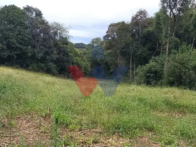Imagem 10: Chácara dos Sonhos em Araucária 24.300M de Natureza e Tranquilidade
