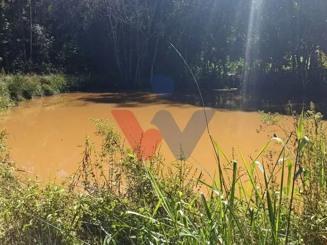 Imagem 7: Chácara dos Sonhos em Araucária 24.300M de Natureza e Tranquilidade