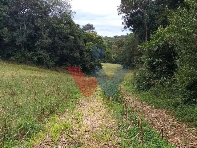 Imagem 13: Chácara dos Sonhos em Araucária 24.300M de Natureza e Tranquilidade