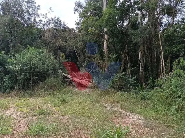 Imagem 9: Chácara dos Sonhos em Araucária 24.300M de Natureza e Tranquilidade