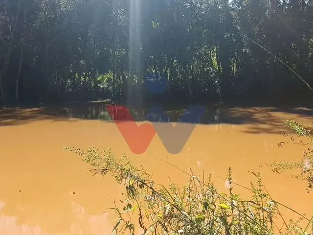 Imagem 8: Chácara dos Sonhos em Araucária 24.300M de Natureza e Tranquilidade