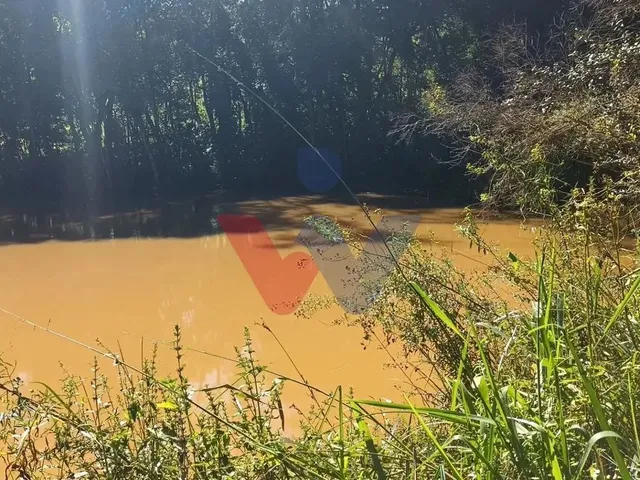 Imagem 2: Chácara dos Sonhos em Araucária 24.300M de Natureza e Tranquilidade