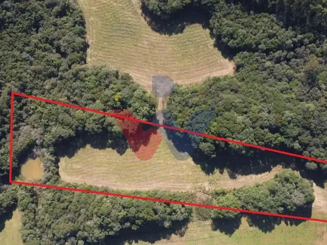 Imagem 4: Chácara dos Sonhos em Araucária 24.300M de Natureza e Tranquilidade
