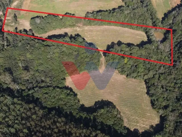 Imagem 5: Chácara dos Sonhos em Araucária 24.300M de Natureza e Tranquilidade