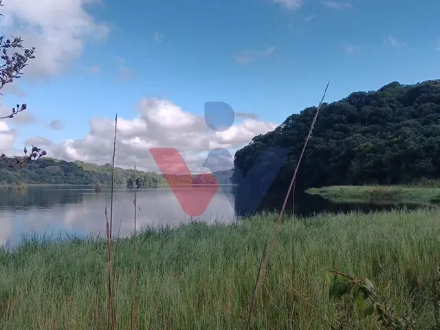 Imagem: Chácara em Araucária com Nascente, Represa