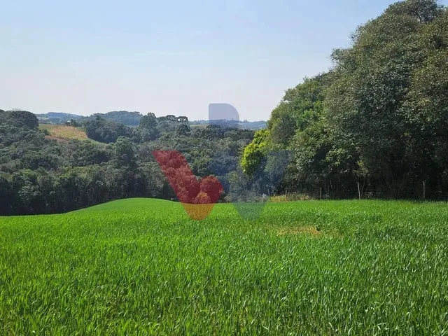 Imagem: Área de 20.000 M para Chácara Próxima