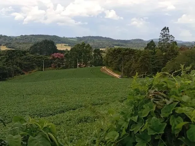 Imagem: Excelente Área para Formar Chácaras com