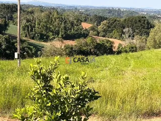 Imagem 1: Espaço dos Sonhos: Terreno de 3 Alqueires com Nascente e Casas!