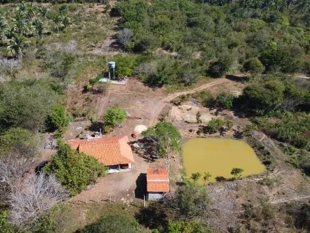 Imagem: Fazenda Zona Rural 37 Km do Joquei Club