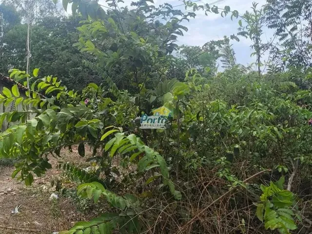 Imagem: Terreno Residencial para Venda santa Maria