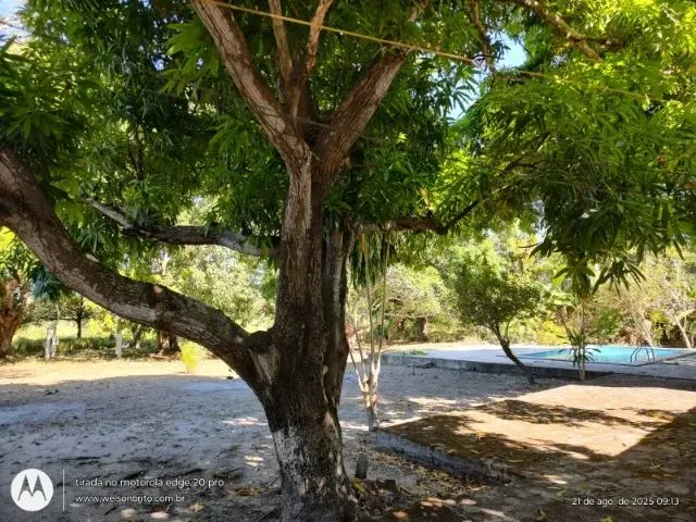 Imagem 16: Sitio na Zona Sudeste de Teresina-Pi