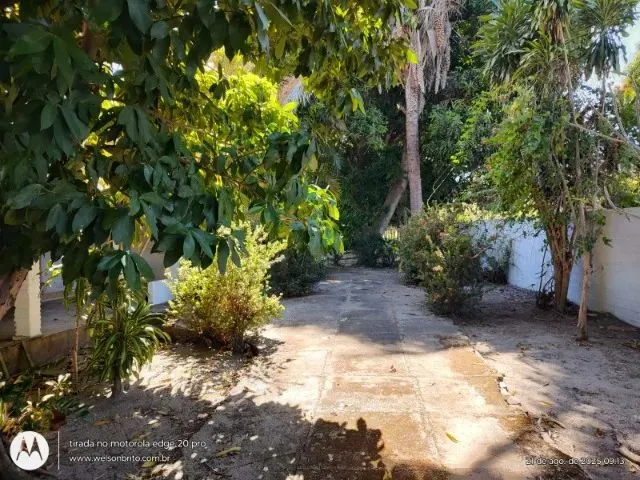 Imagem 8: Sitio na Zona Sudeste de Teresina-Pi