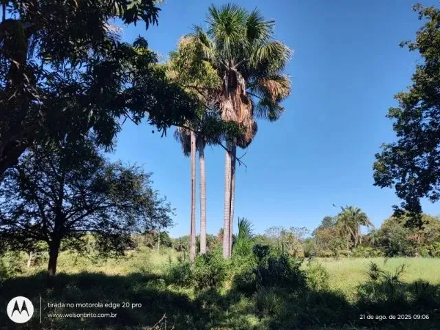 Imagem 2: Sitio na Zona Sudeste de Teresina-Pi