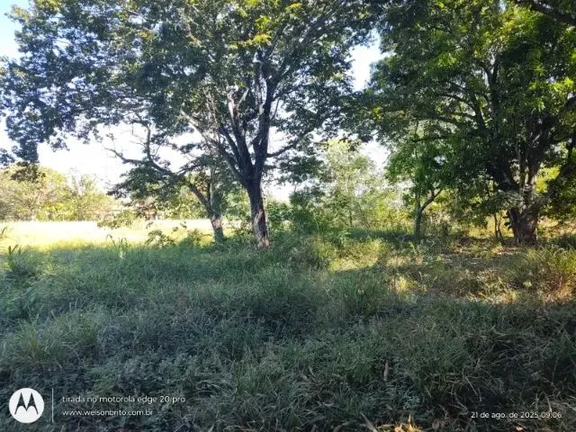 Imagem 7: Sitio na Zona Sudeste de Teresina-Pi