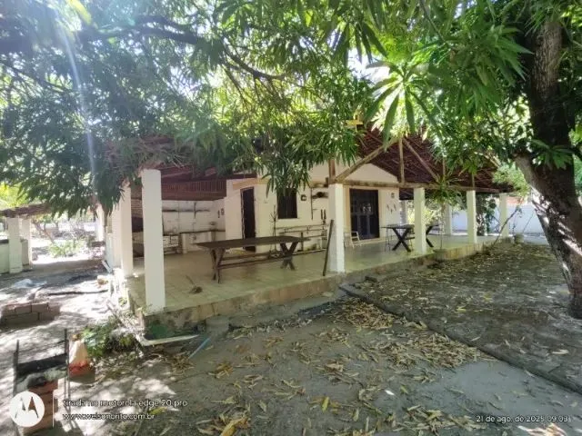 Imagem 10: Sitio na Zona Sudeste de Teresina-Pi