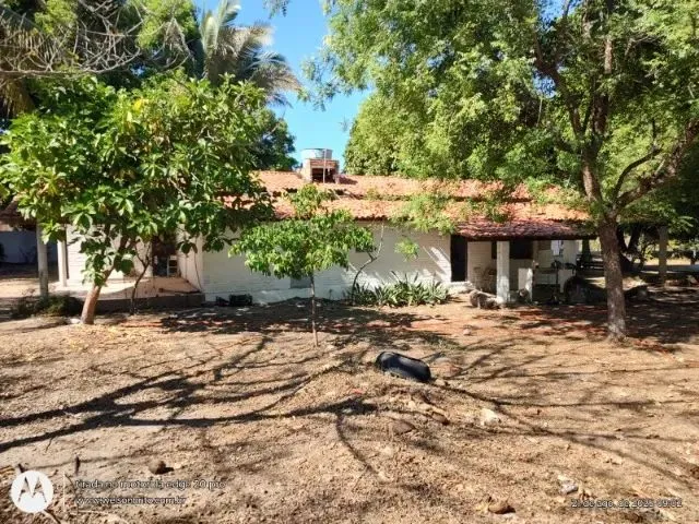 Imagem 14: Sitio na Zona Sudeste de Teresina-Pi