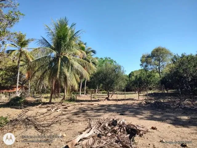 Imagem 6: Sitio na Zona Sudeste de Teresina-Pi