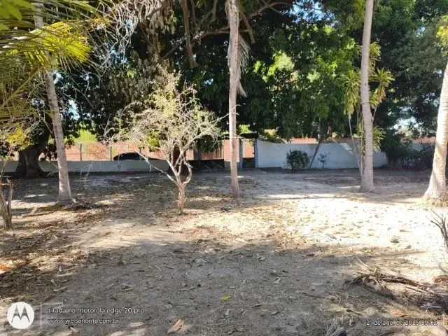 Imagem 12: Sitio na Zona Sudeste de Teresina-Pi