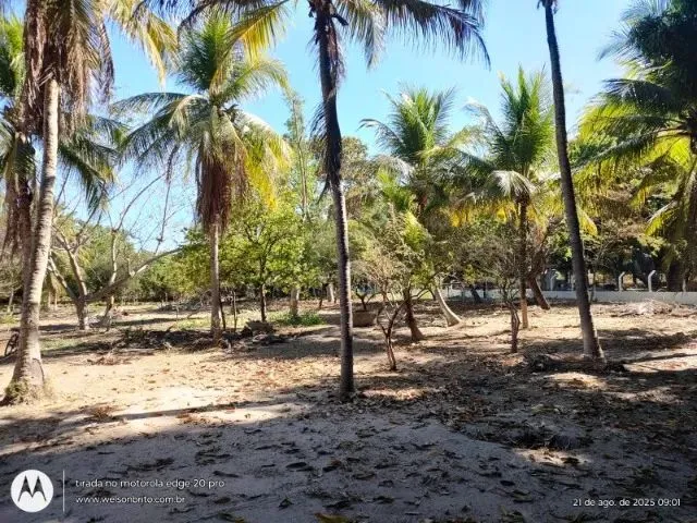Imagem 11: Sitio na Zona Sudeste de Teresina-Pi