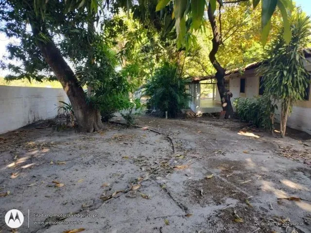 Imagem 15: Sitio na Zona Sudeste de Teresina-Pi