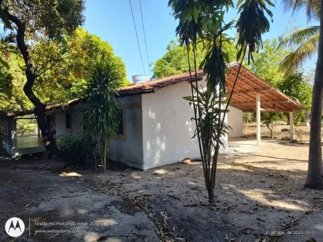Imagem 13: Sitio na Zona Sudeste de Teresina-Pi