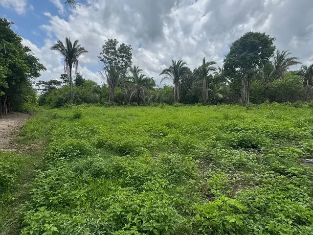 Imagem: 3 Terrenos Juntos, Totalizando 36X30 Apenas