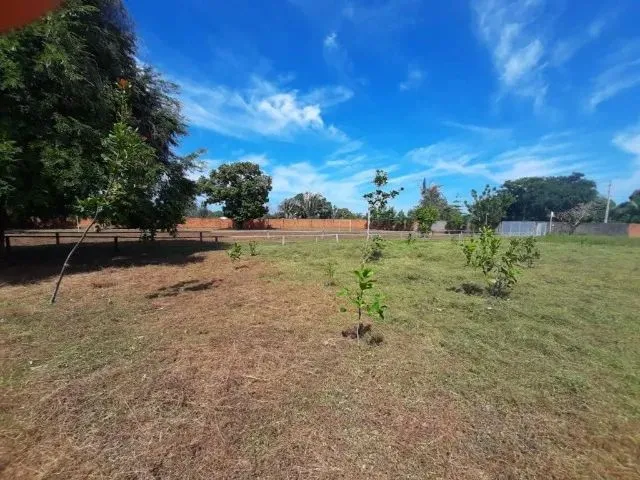 Imagem: Terreno na santa Maria da Codipi em Teresina-Pi
