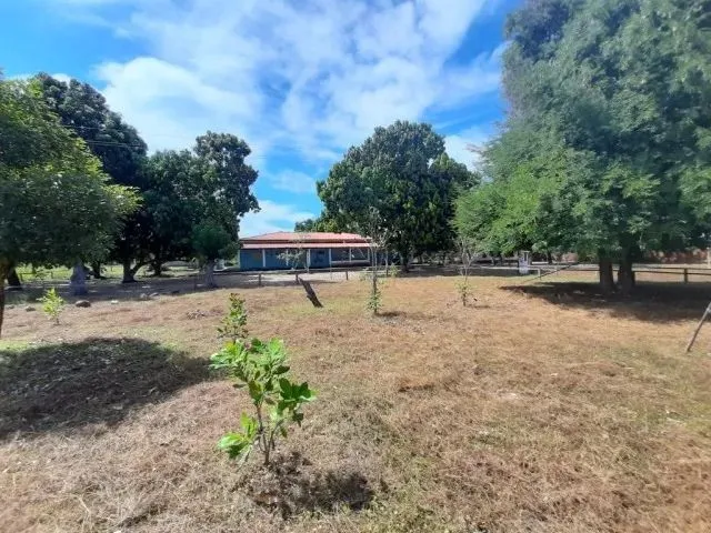 Imagem 2: Terreno na santa Maria da Codipi em Teresina-Pi