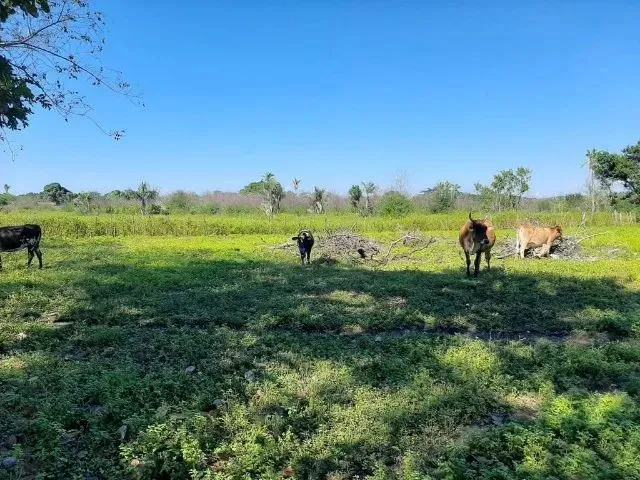Imagem 6: Terreno na santa Maria da Codipi em Teresina-Pi
